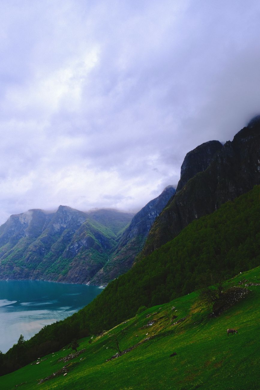 Scandinavian Fjords